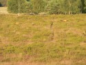 fiets4daagse_2015_139
