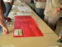 fiets4daagse_2015_164