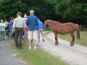 fiets4daagse_2015_151