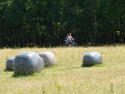 fiets4daagse_2015_193