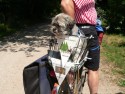 fiets4daagse_2015_179