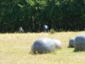 fiets4daagse_2015_192
