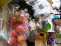 fiets4daagse_2015_242